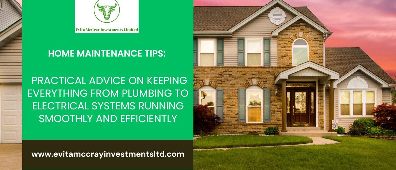 Home Maintenance Tips, Practical Home Advice, Plumbing Maintenance, Electrical Systems Efficiency, Home Upkeep.